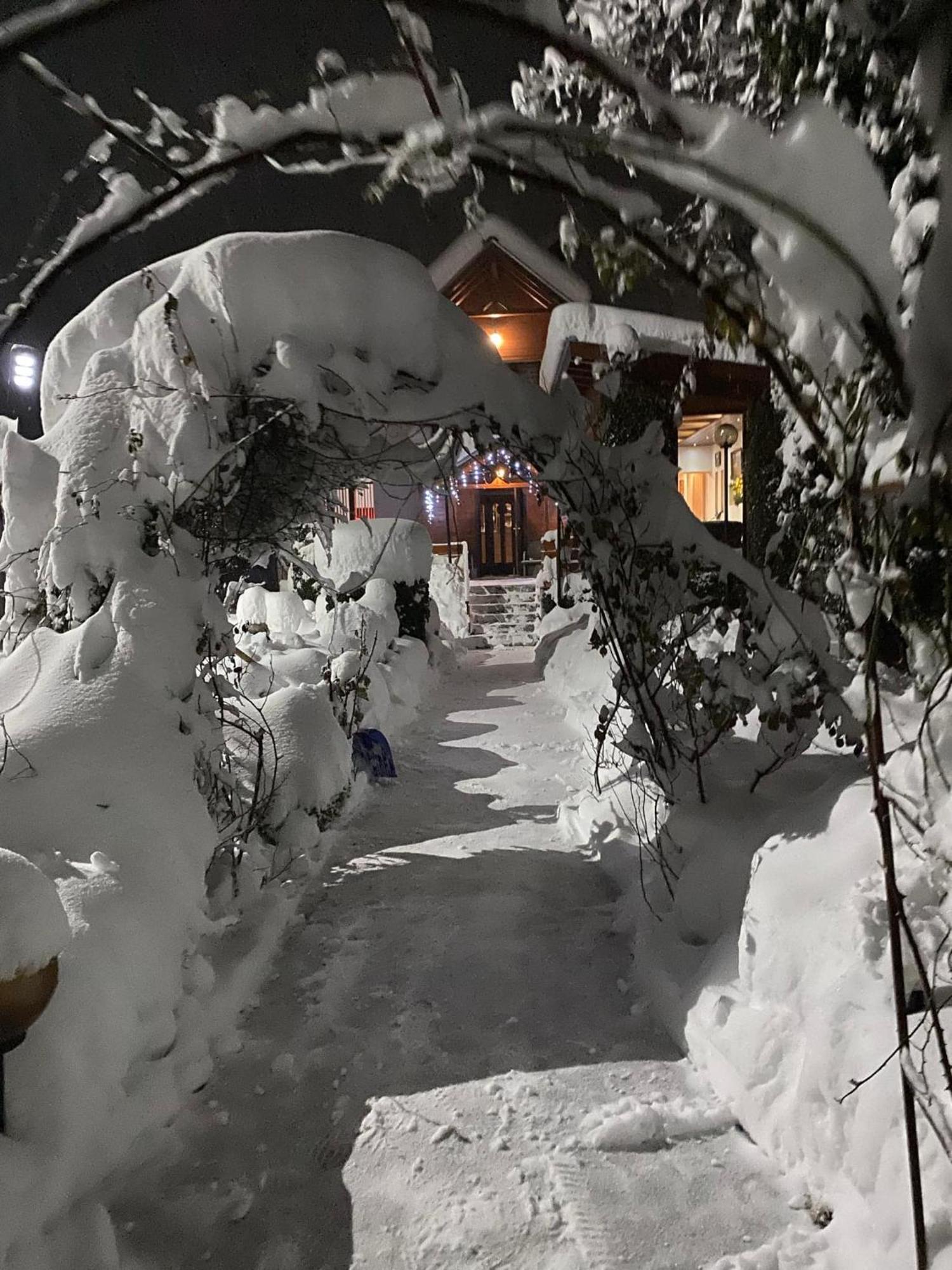 Orehite Guest House 사모코프 외부 사진